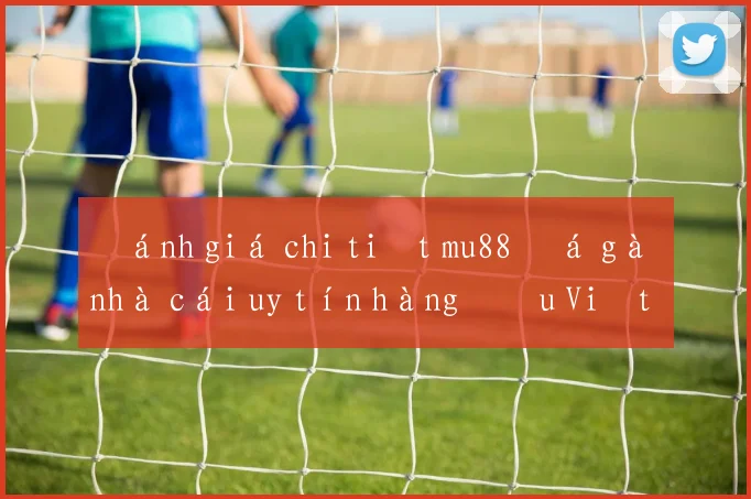 Đánh giá chi tiết mu88 đá gà nhà cái uy tín hàng đầu Việt Nam