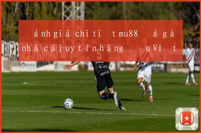 Đánh giá chi tiết mu88 đá gà nhà cái uy tín hàng đầu Việt Nam